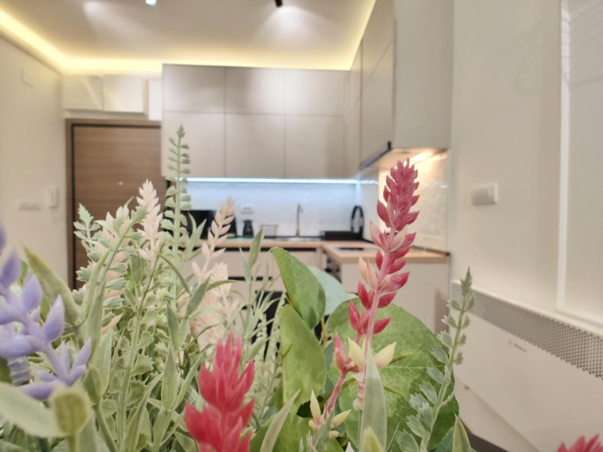 公寓 Primus Sa Bazenom,spa&wellness Centrom-velika Recepcija 125 兹拉蒂博尔